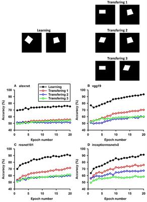 Transfer of Learning in the Convolutional Neural Networks on Classifying Geometric Shapes Based on Local or Global Invariants